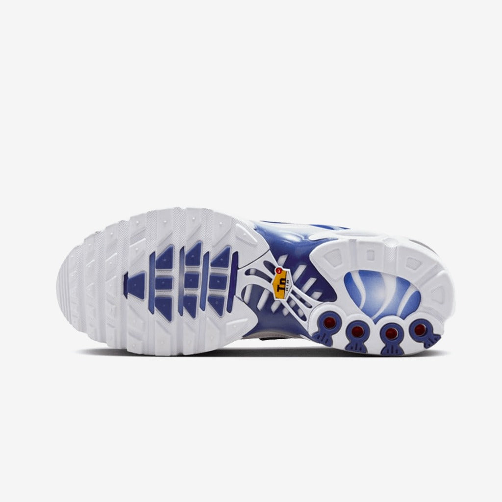 Nike® Air Max Plus Blue Fade