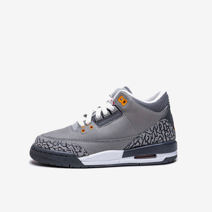 Jordan 4 Retro Cool Grey (2019)