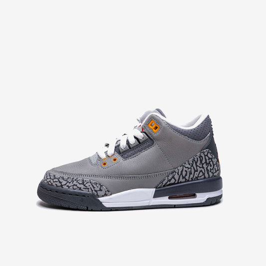 Jordan 4 Retro Cool Grey (2019)
