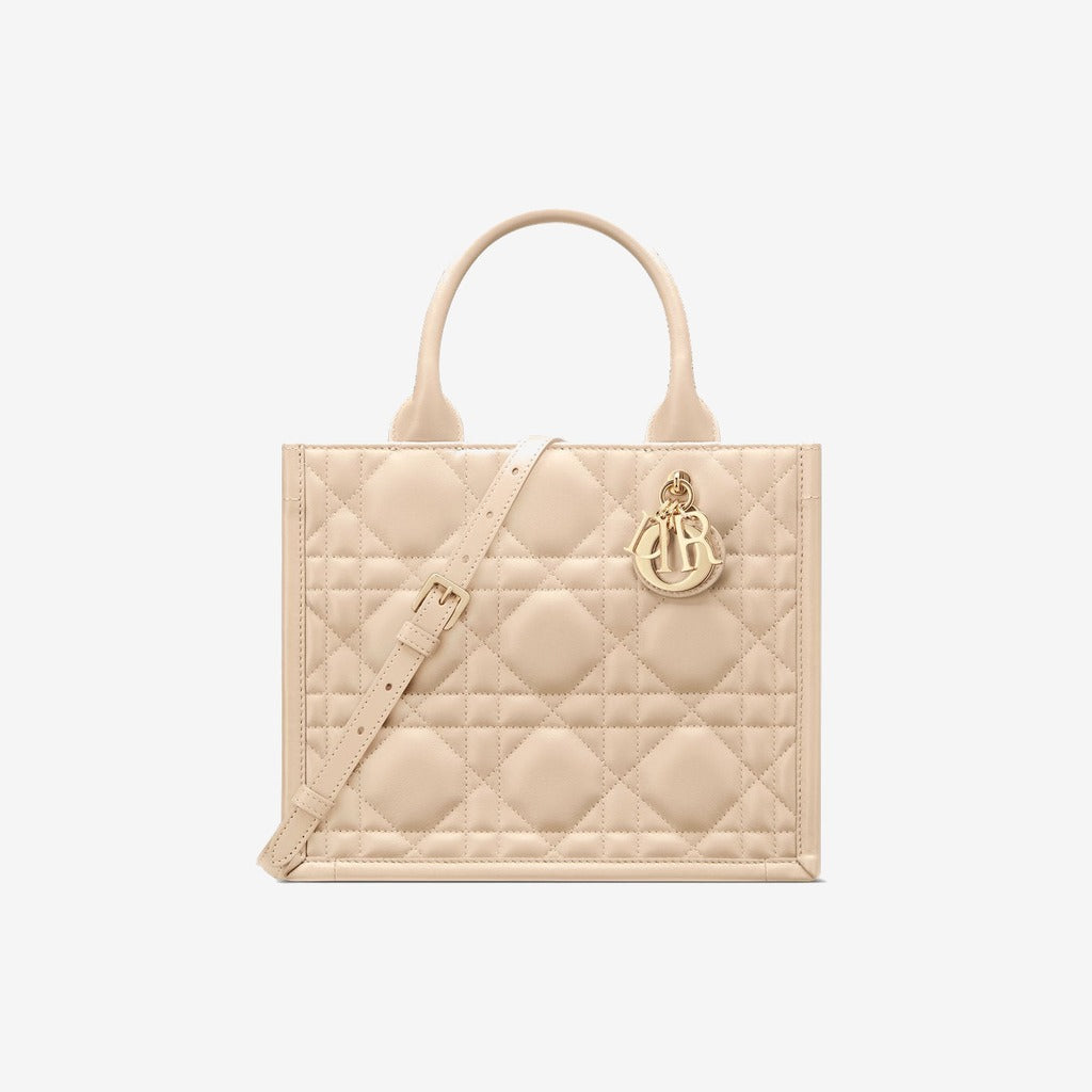 Sac Dior Book Tote Small - #10