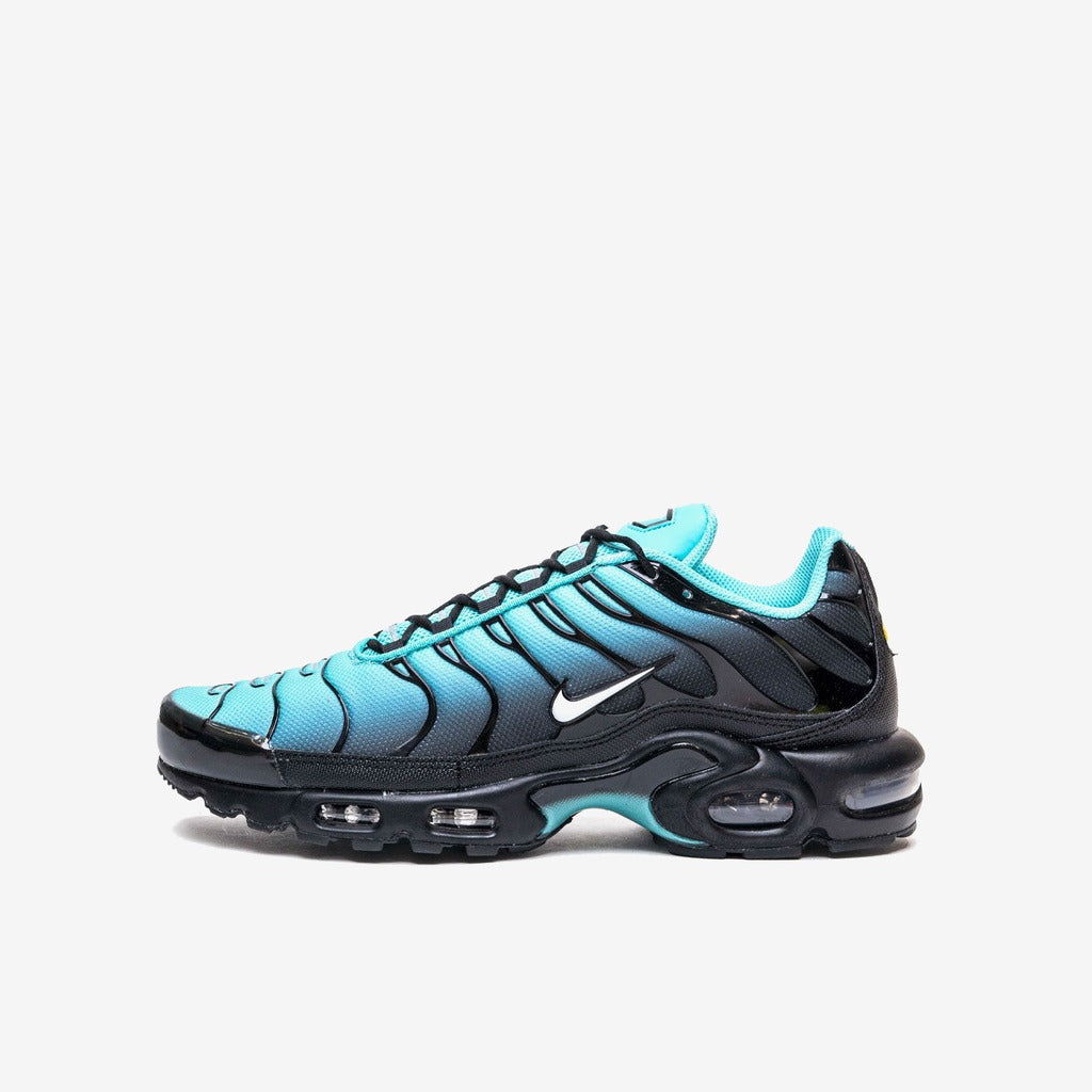 Nike Air Max Plus Light Retro Blue