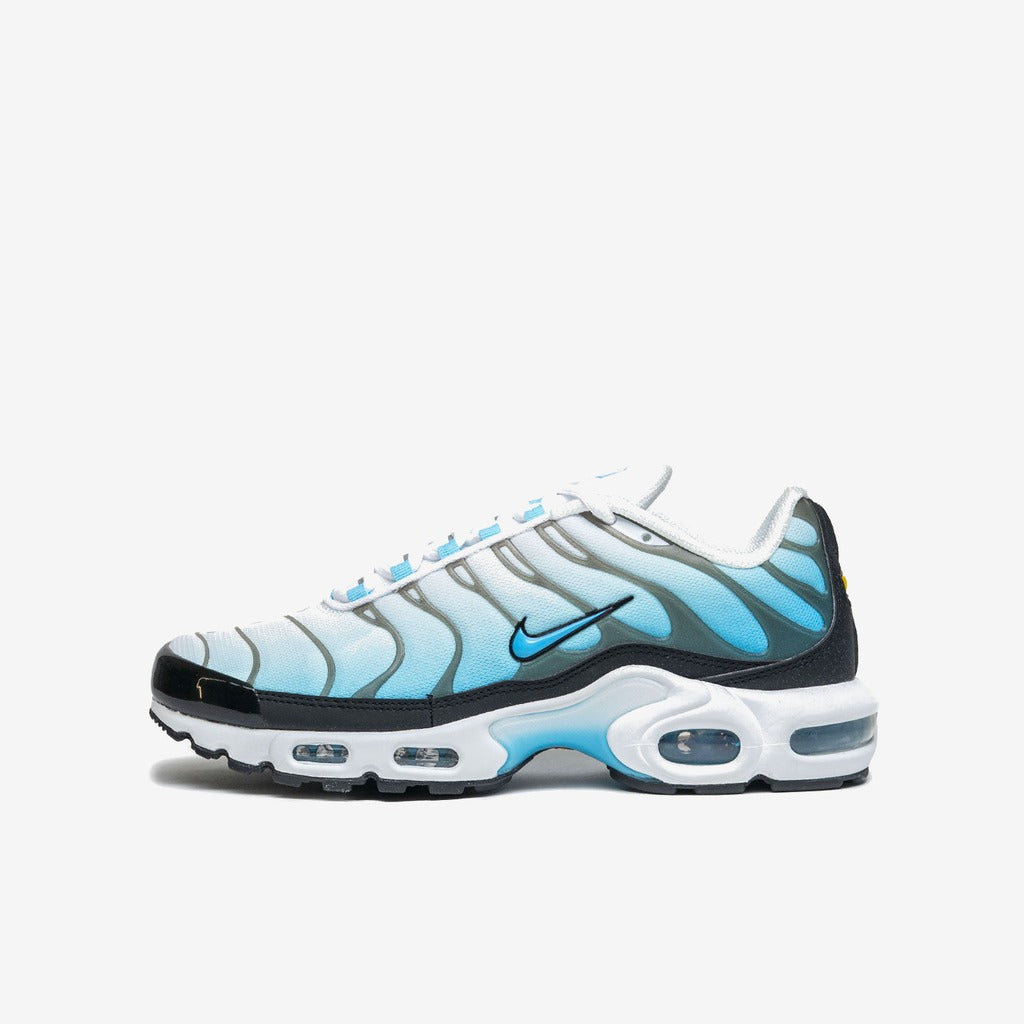 Nike Air Max Plus Baltic Blue