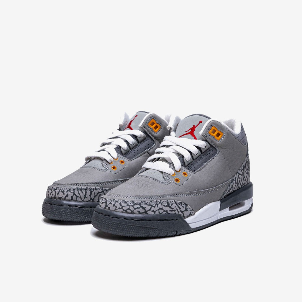 Jordan 4 Retro Cool Grey (2019)