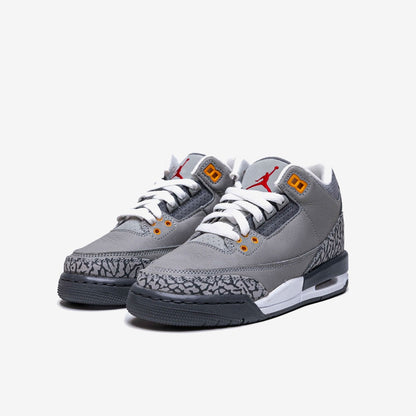 Jordan 4 Retro Cool Grey (2019)
