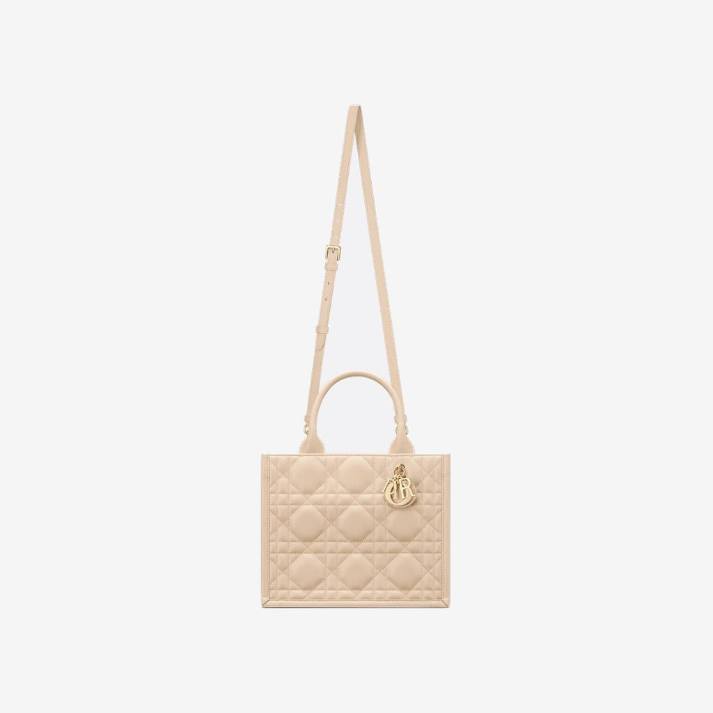 Sac Dior Book Tote Small - #10
