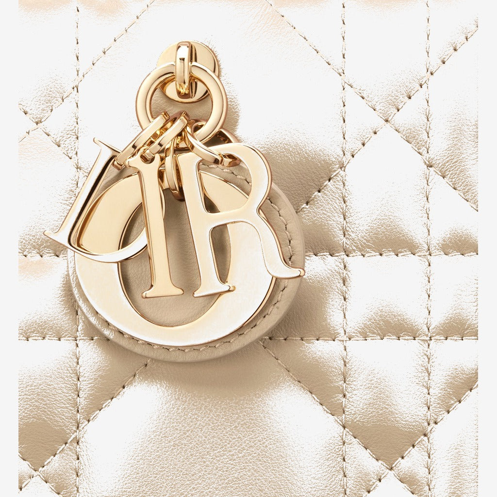 Sac Dior Book Tote Small - #10