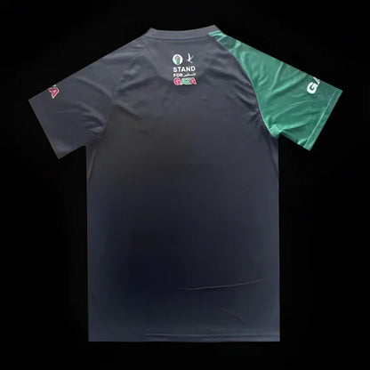 Maillot Palestine saison 2023-2024 édition spéciale Stand for Gaza