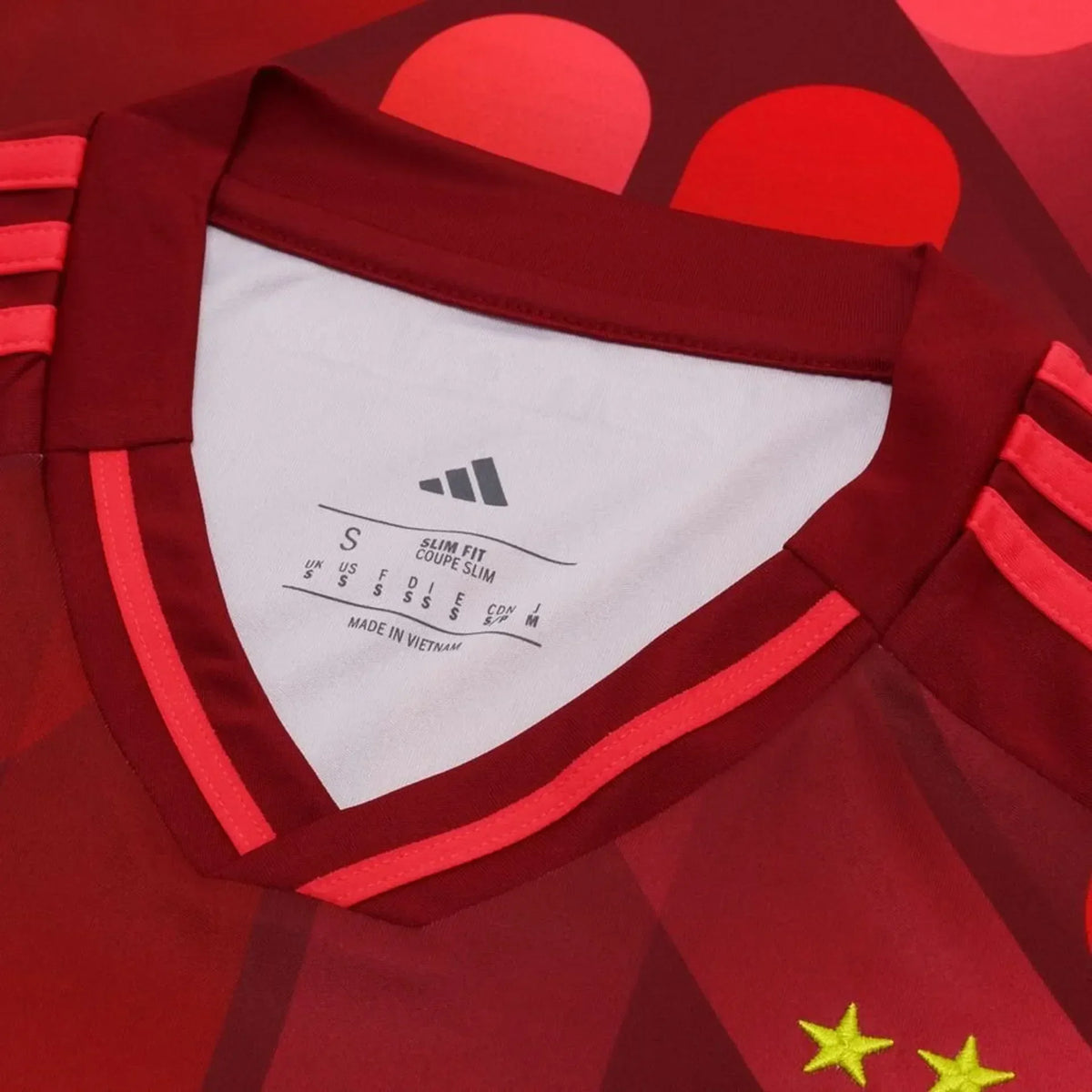 Allemagne Maillot Extérieur EURO 2025