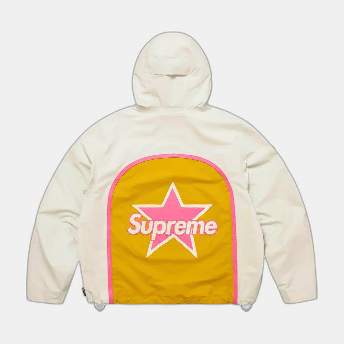 Veste Supreme GORE-TEX